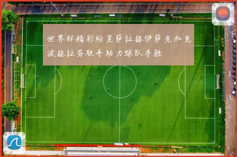 世界杯精彩纷呈萨拉赫伊萨克加克波赫拉芬联手助力球队夺胜
